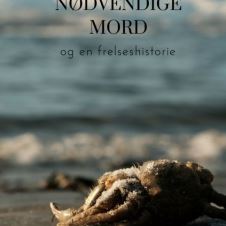 ti-nodvendige-mord-og-en-frelseshistorie