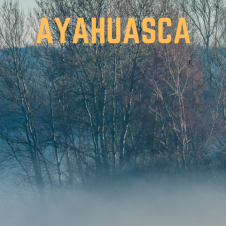 ayahusca-romanen-om-miljokrisen