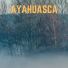 ayahusca-romanen-om-miljokrisen